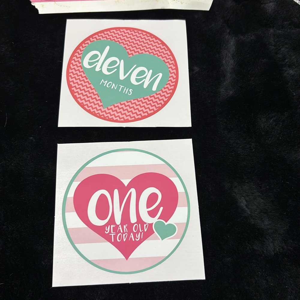 ABG Baby First Year Milestone Stickers 12 Count Infant Girls Precious Memories